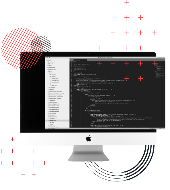 Strapi – Headless CMS Web Development